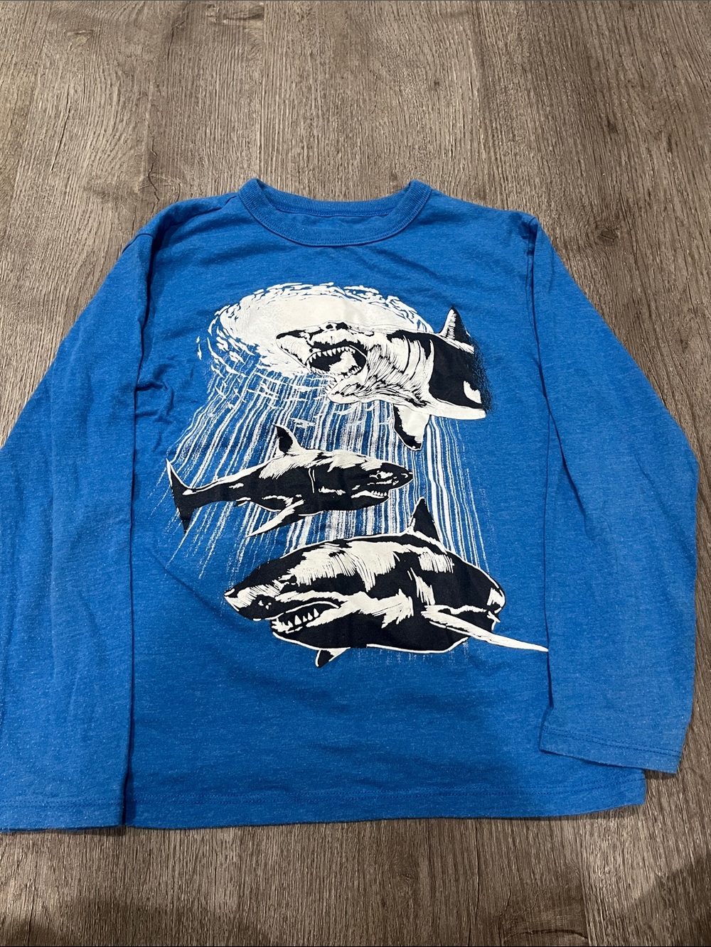 Place Royal Blue Long-Sleeve Tee with Shark Trio Graphic